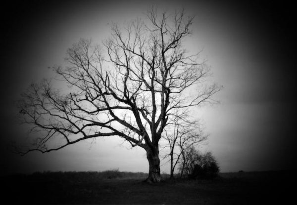 The Most Haunted Places in New Jersey | Haunted Rooms America