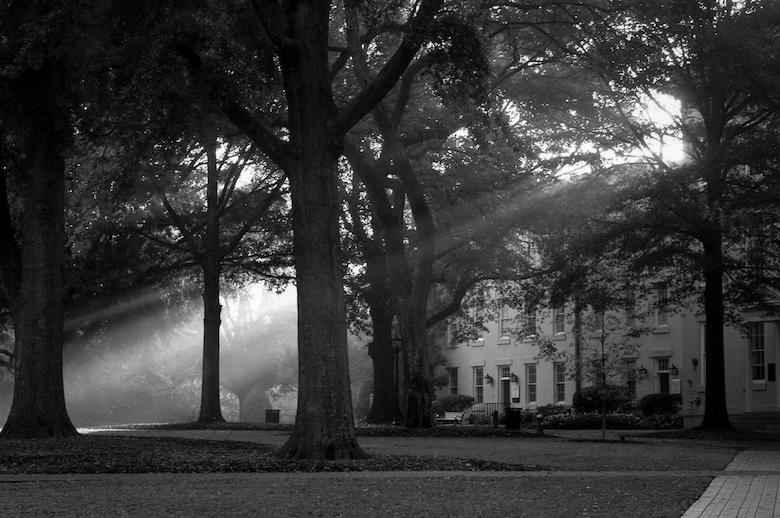 University of South Carolina University of South Carolina