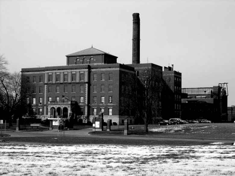 Eloise Asylum Eloise Asylum