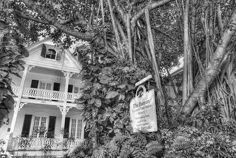 Banyan Resort & Guesthouse Banyan Resort & Guesthouse