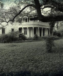 the bowers mansion grounds