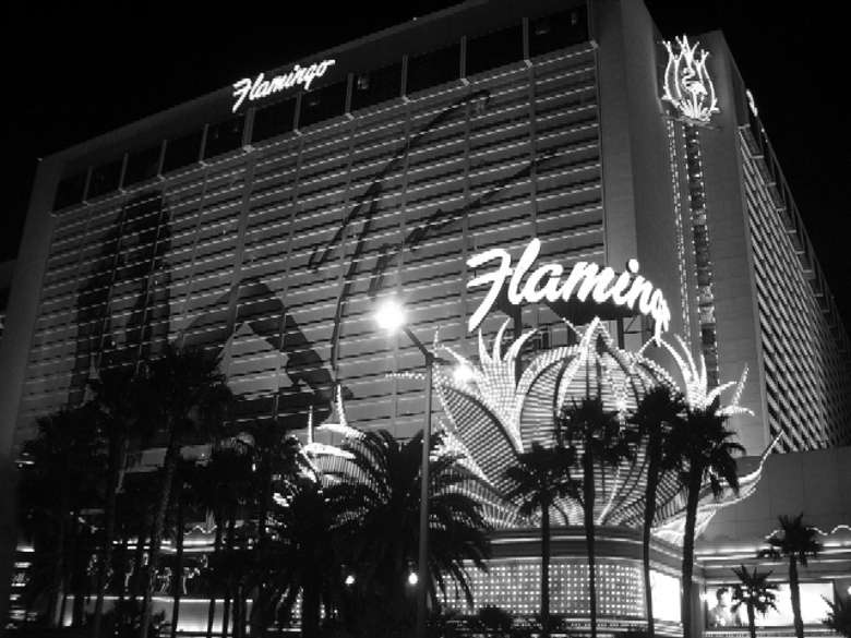 Flamingo Hotel and Casino Flamingo Hotel and Casino