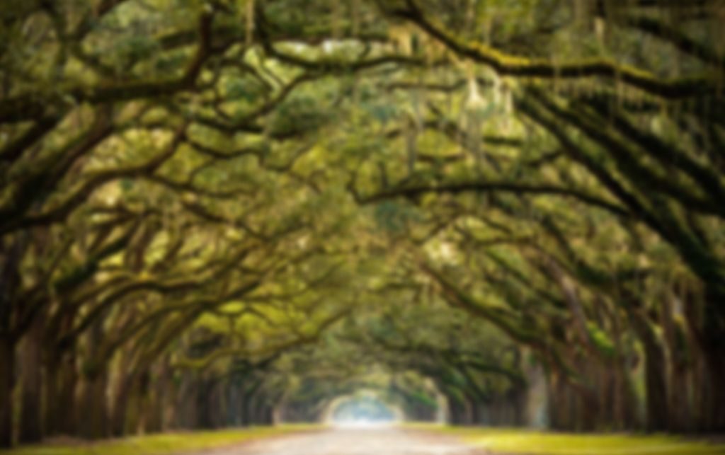 Haunted plantation in Georgia