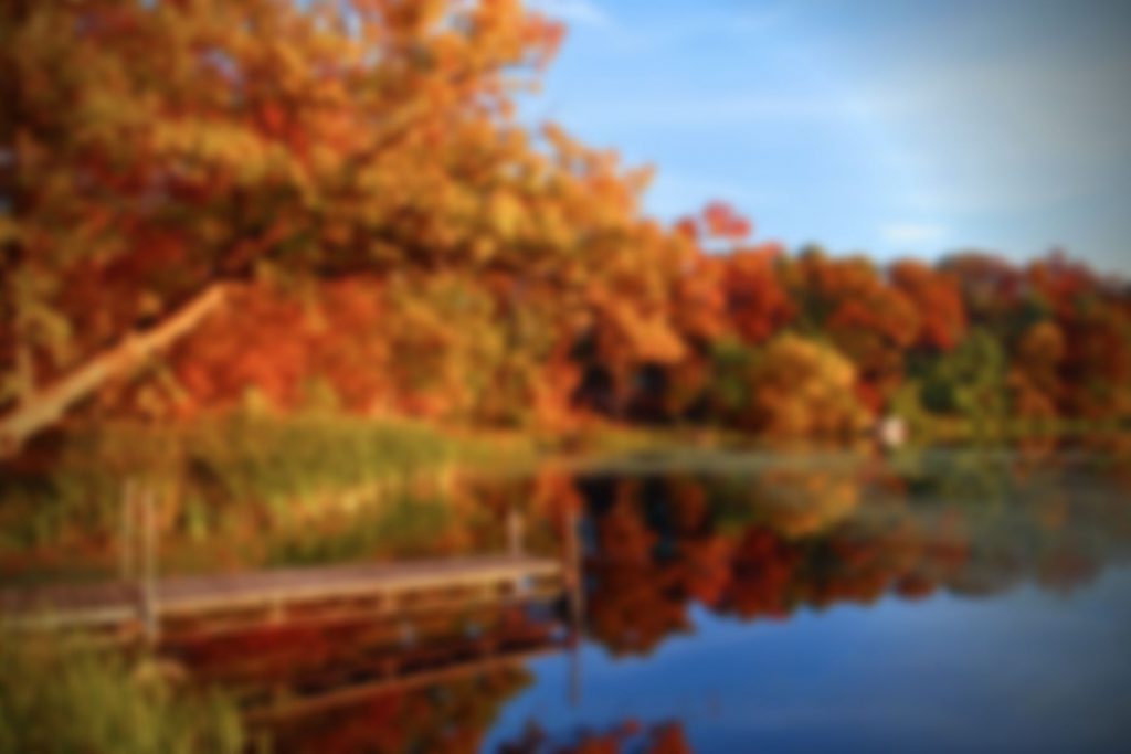 An image of trees and a lake in Wisconsin