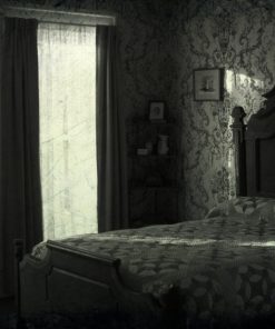 cheney mansion bedroom 2
