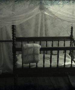 cheney mansion cot
