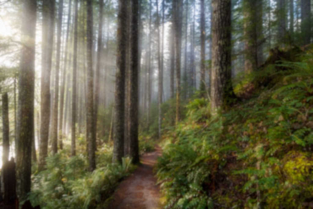 washington state park