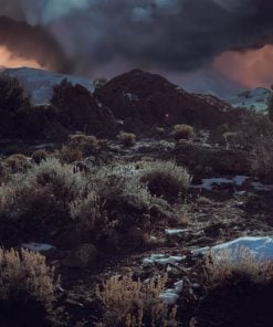 Mt Wilson Ranch grounds