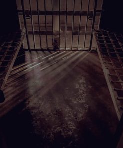 1910 gila county jail