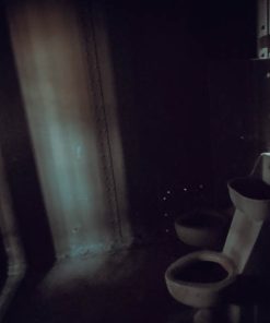 1910 gila county jail