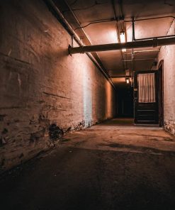 Dark, eerie hallway with doorss