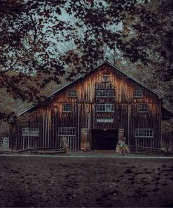 The barn