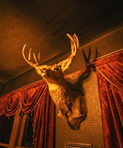 Oliver House Hotel Ghost Hunt & Sleepover, Bisbee, Arizona 26