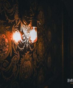 Haunted Shanley Hotel