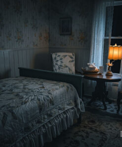 Fairweather Inn Ghost Hunt & Sleepover, Virginia City, Montana 1